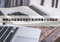 哪些公司能做区块链开发[区块链小公司能去嘛]